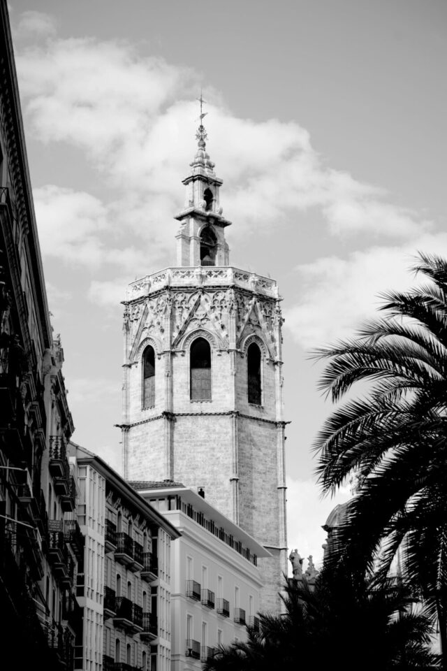 pexels-giuseppe-di-maria-163888120-28884755-copia-scaled